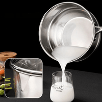 Multipurpose Stainless Steel Saucepan - AxenBox