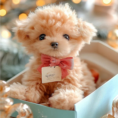 NICOO – Mein verspielter Roboterwelpe 🌈 🐶🐶