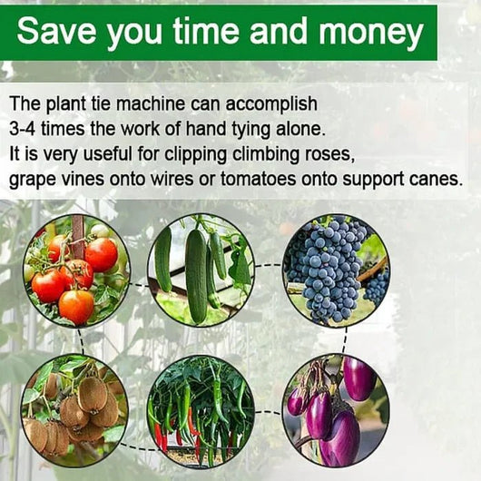 Plant Tying Machine - AxenBox