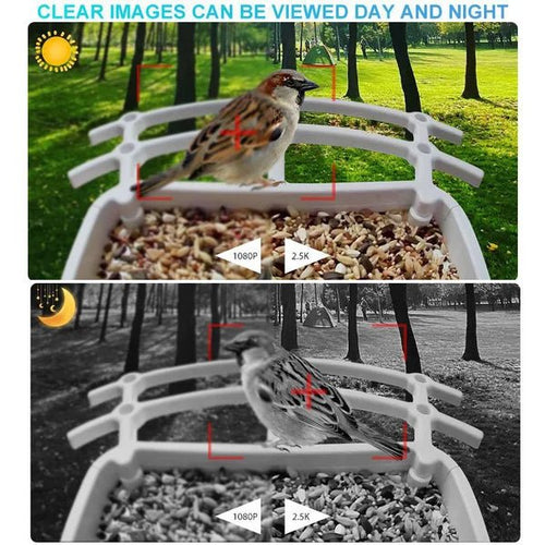 Intelligenter Kolibri-Futterspender mit Kamera und Vogeltränke