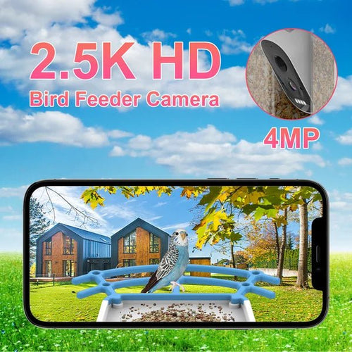 Intelligenter Kolibri-Futterspender mit Kamera und Vogeltränke