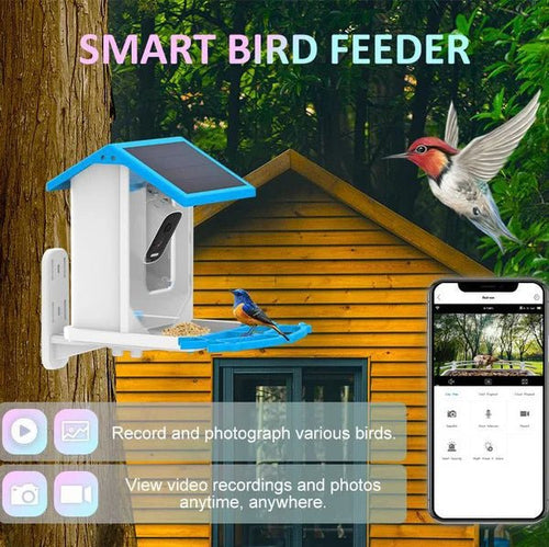 Intelligenter Kolibri-Futterspender mit Kamera und Vogeltränke
