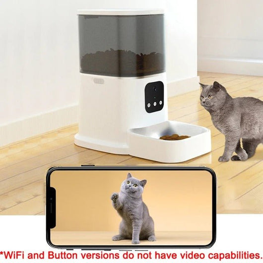Smart WiFi Cat Feeder with Camera & Audio – 6L - AxenBox